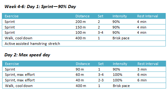 Strength Training Program 100m Sprinter