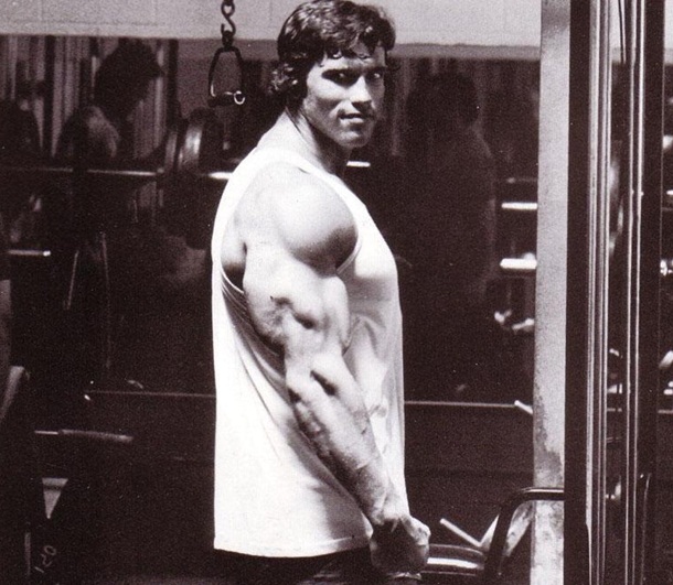  Arnold schwarzenegger triceps workout video for Burn Fat fast