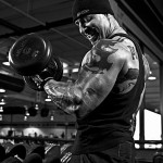 Curl Primer: Find Your Form And Build Your Biceps - Written By Michael Camp