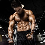 Muscle-Specific Hypertrophy: Chest, Triceps and Shoulders By Menno Henselmans