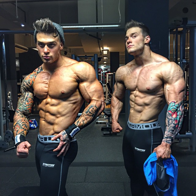 Bulk VS Shred, Which One Do You Prefer : r/nattyorjuice