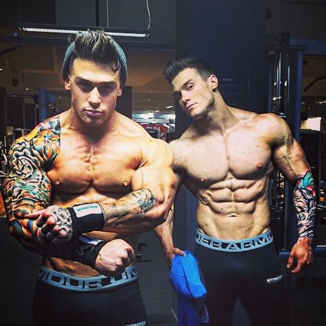 Bulk VS Shred, Which One Do You Prefer : r/nattyorjuice