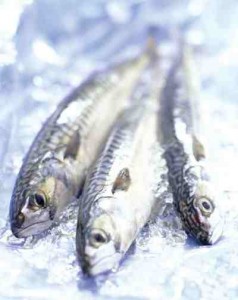 omega-3-fish-benefits