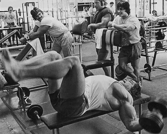 Arnold Chest Workout Colaboratory