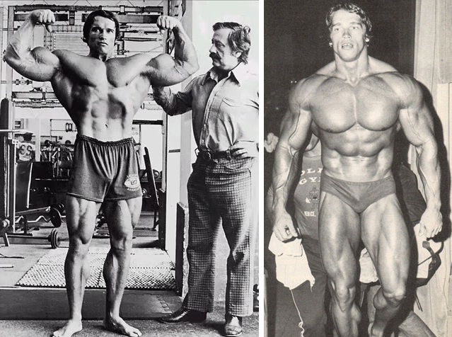 Big Arms: How to Get Arms Like Arnold Schwarzenegger
