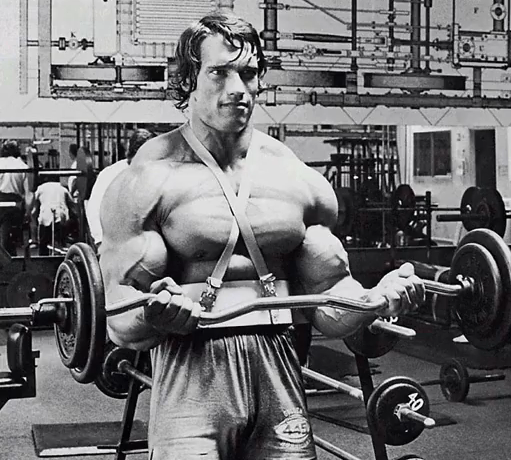 Austrian Alps Arnold Schwarzenegger s Incredible Secret Arm Routine Revealed SimplyShredded