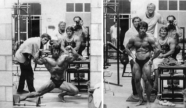Frank zane training split new arrivals