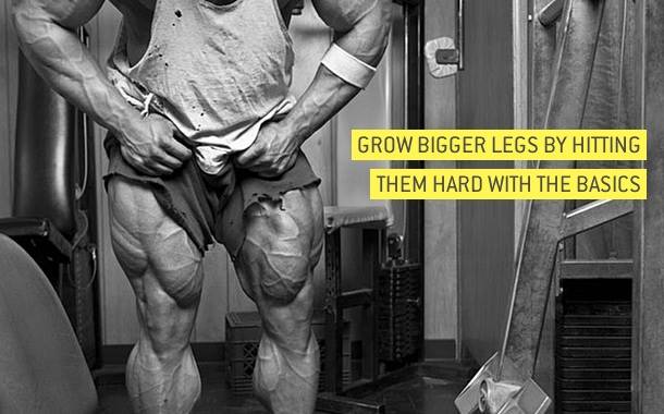 HOW TO GET BIGGER CALVES - GUIDE TO BIG CALF MUSCLES