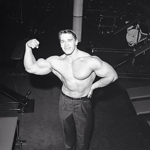 2 vintage arnold